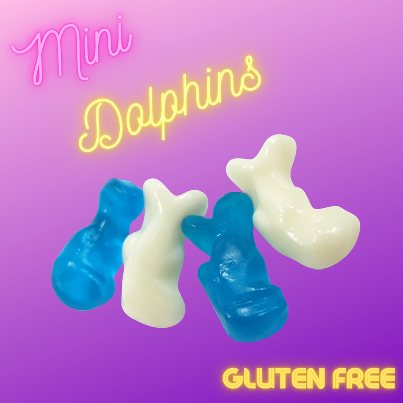 Mini Dolphins (100g)
