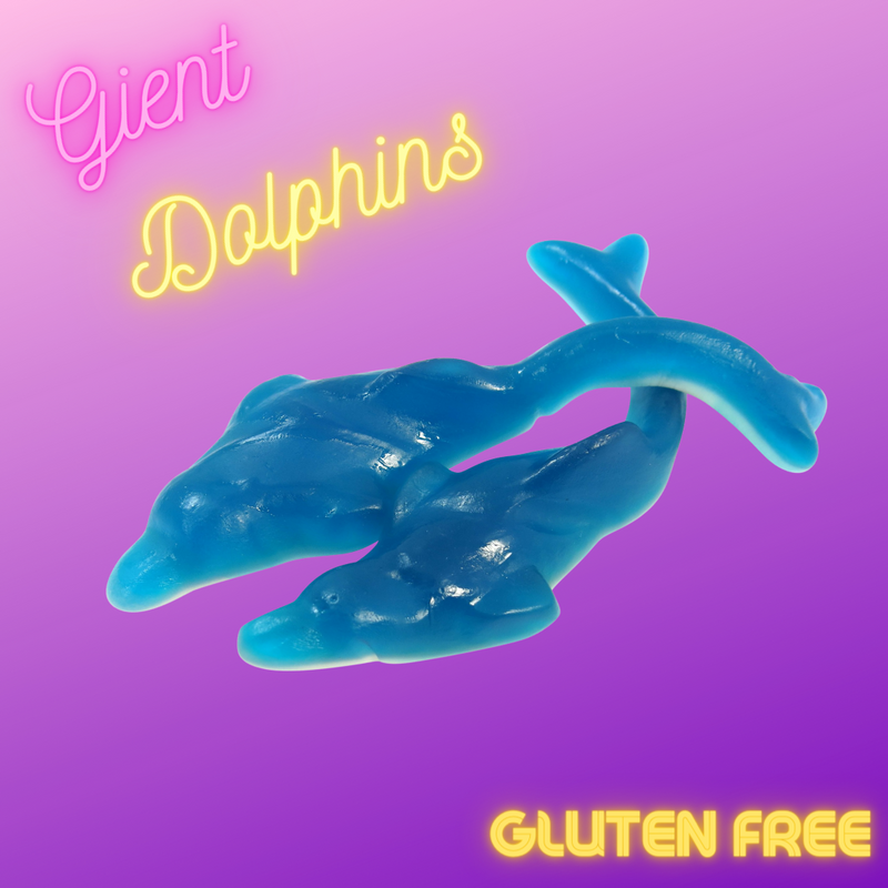 Giant Dolphins (Each)